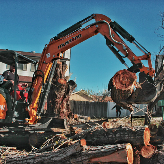 stump removal from Utah Trees & Landscaping